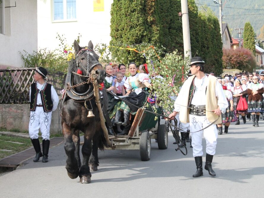 4.8.2013 Lipovce, A v Lipovcu na draže